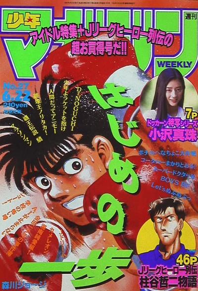 Cover of No. 27, 1994
