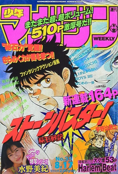 Cover of No. 35, 1994