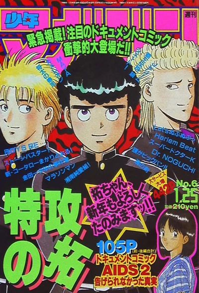 Cover of No. 6, 1995