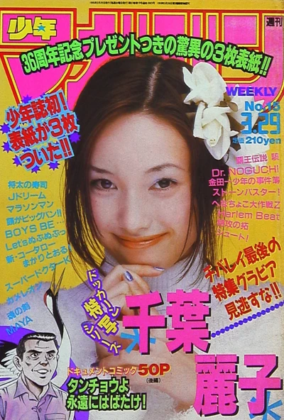 Cover of No. 15, 1995