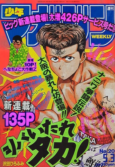 Cover of No. 20, 1995