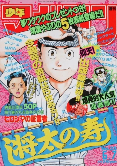 Cover of No. 25, 1995