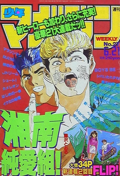 Cover of No. 27, 1995