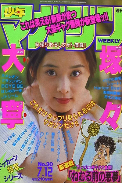 Cover of No. 30, 1995