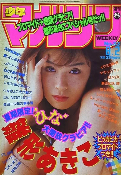Cover of No. 33, 1995