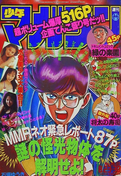 Cover of No. 36-37, 1995