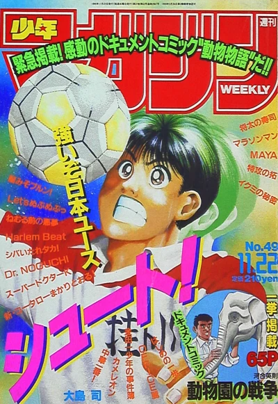 Cover of No. 49, 1995