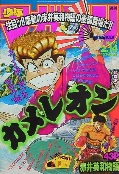 Cover of No. 9, 1996