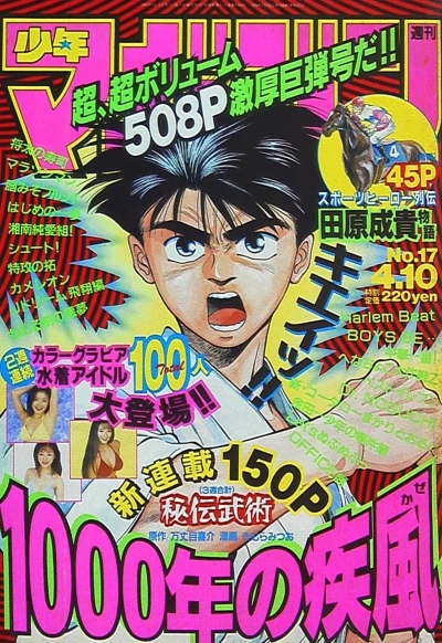 Cover of No. 17, 1996