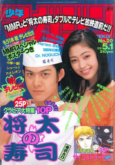 Cover of No. 20, 1996