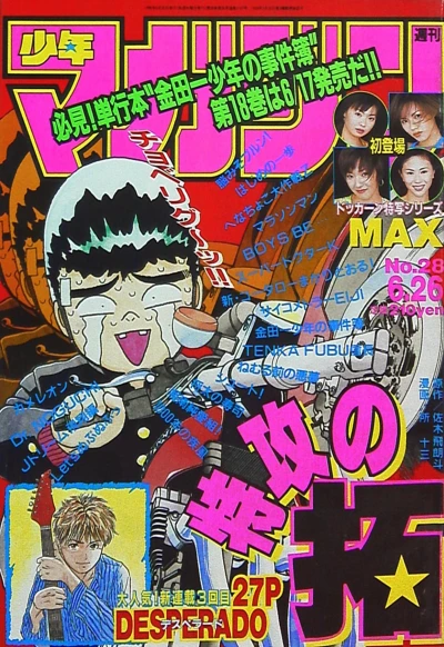 Cover of No. 28, 1996
