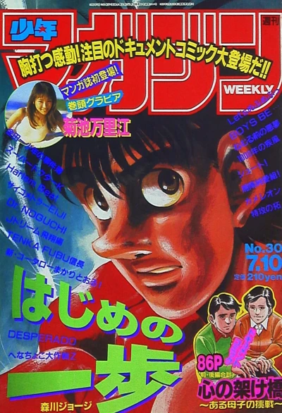 Cover of No. 30, 1996