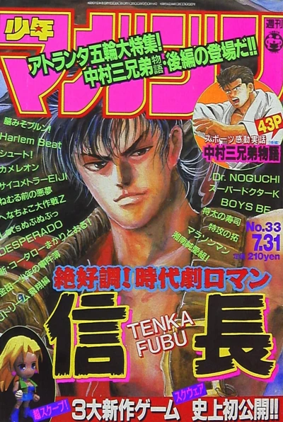 Cover of No. 33, 1996