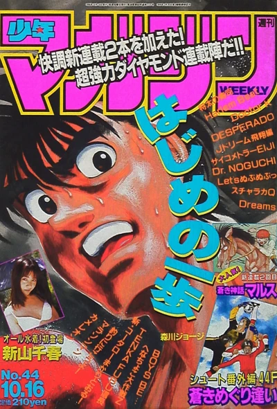 Cover of No. 44, 1996