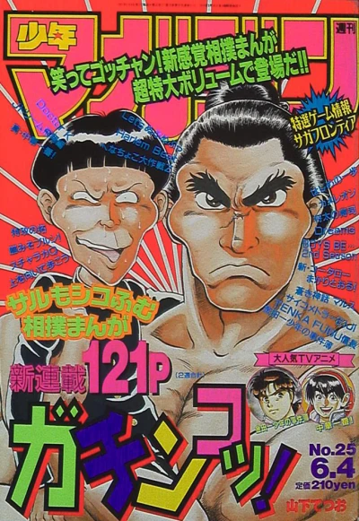 Cover of No. 25, 1997