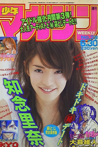 Cover of No. 29, 1999