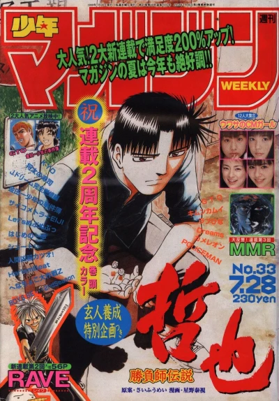 Cover of No. 33, 1999