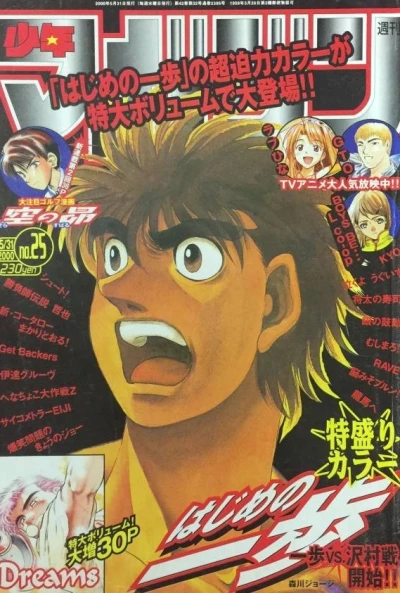 Cover of No. 25, 2000