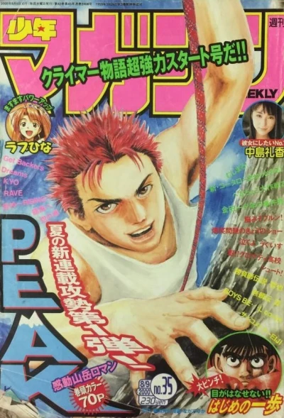 Cover of No. 35, 2000