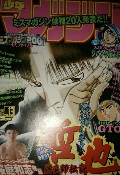 Cover of No. 13, 2001