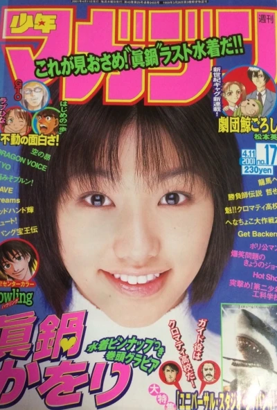 Cover of No. 17, 2001