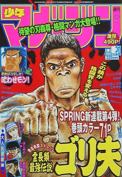 Cover of No. 20, 2001