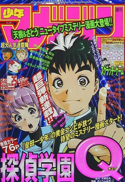 Cover of No. 25, 2001