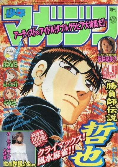 Cover of No. 48, 2001