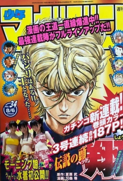 Cover of No. 34, 2003