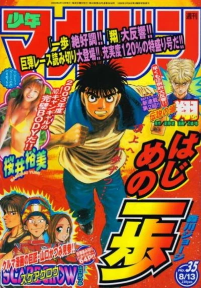 Cover of No. 35, 2003