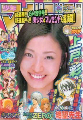 Cover of No. 22-23, 2005