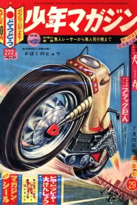 No. 29, 1964