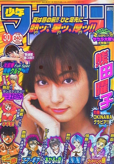 Cover of No. 30, 2005