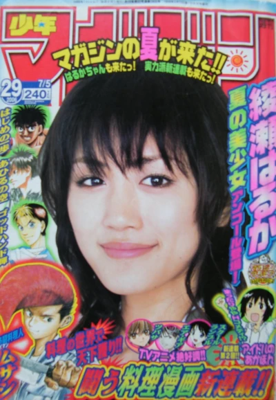 Cover of No. 29, 2006