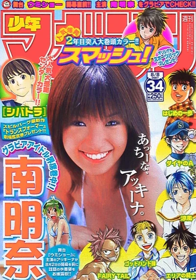 Cover of No. 34, 2007