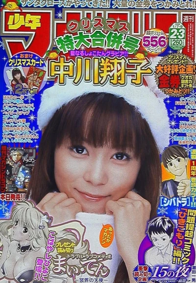 Cover of No. 2-3, 2008