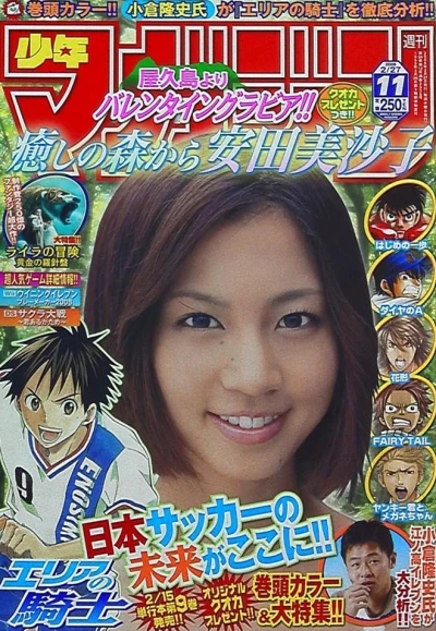 Cover of No. 11, 2008