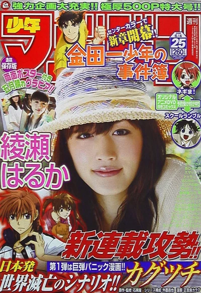 Cover of No. 25, 2008
