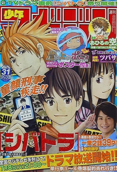 Cover of No. 31, 2008