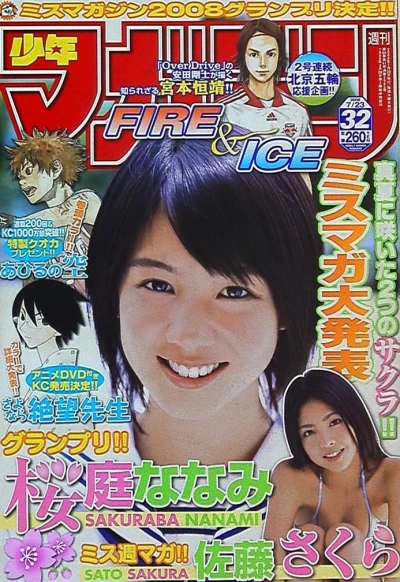Cover of No. 32, 2008
