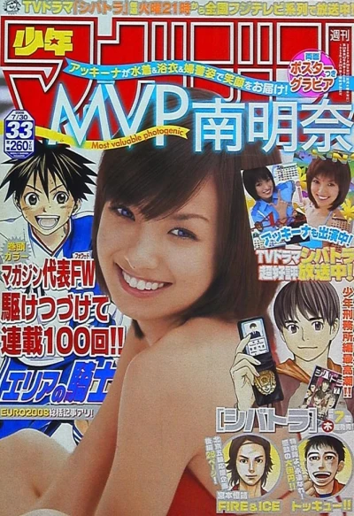 Cover of No. 33, 2008