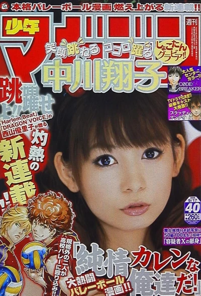 Cover of No. 40, 2008