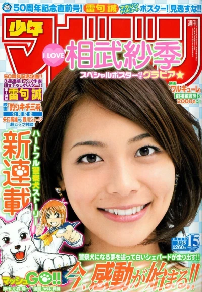 Cover of No. 15, 2009