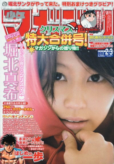 Cover of No. 2-3, 2010