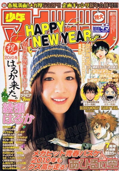 Cover of No. 4-5, 2010