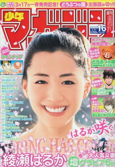 Cover of No. 16, 2010