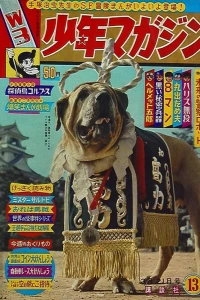 No. 13, 1965