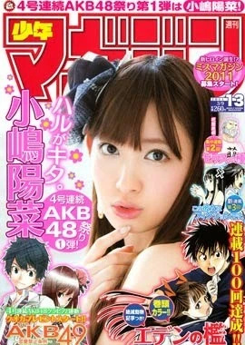 Cover of No. 13, 2011