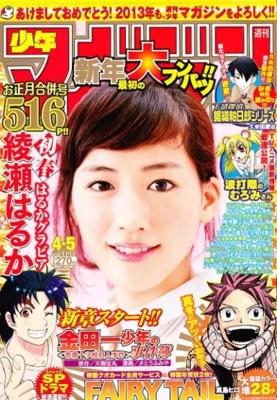 Cover of No. 4-5, 2013