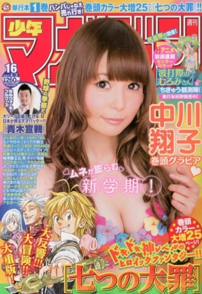 Cover of No. 16, 2013